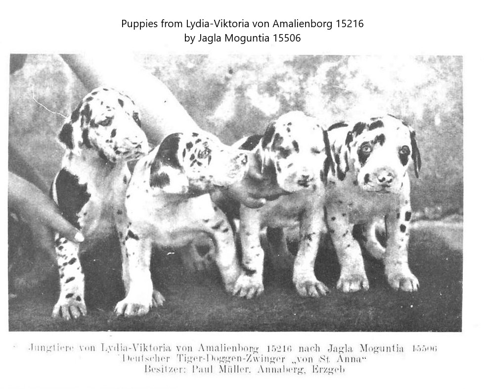 Lydia-Viktoria von Amalienborg